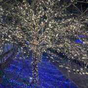 ヒメ日記 2026/02/08 22:55 投稿 柏木 ゆり 30代40代50代と遊ぶなら博多人妻専科24時