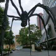 ヒメ日記 2025/07/14 11:03 投稿 みみ 桜フェアリーテイル