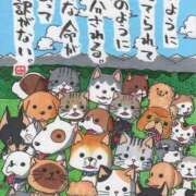 ヒメ日記 2025/07/16 11:03 投稿 みみ 桜フェアリーテイル