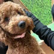 ミイ 明日！！！！！！ ファーストレディー