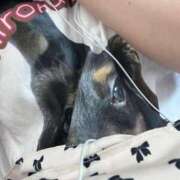 ヒメ日記 2025/07/22 13:57 投稿 きき マリン土浦本店