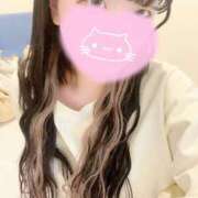 ヒメ日記 2025/07/27 14:02 投稿 きき マリン土浦本店