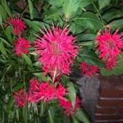 ヒメ日記 2025/07/03 12:01 投稿 まり ミスキャンパス