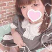 ヒメ日記 2025/11/21 11:41 投稿 泉みこ メイドin中野（東京ハレ系）