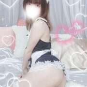 ヒメ日記 2026/01/22 11:48 投稿 泉みこ メイドin中野（東京ハレ系）