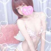 ヒメ日記 2026/02/15 13:00 投稿 泉みこ メイドin中野（東京ハレ系）