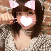 ヒメ日記 2026/06/12 11:45 投稿 泉みこ メイドin中野（東京ハレ系）