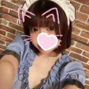 ヒメ日記 2026/06/30 17:52 投稿 泉みこ メイドin中野（東京ハレ系）