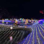 ヒメ日記 2026/01/14 16:25 投稿 いちご【こだ割嬢】 first call～ファーストコール～