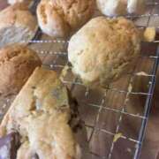 ヒメ日記 2026/01/26 23:03 投稿 いちご【こだ割嬢】 first call～ファーストコール～