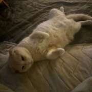 ヒメ日記 2025/07/16 14:30 投稿 みゆ 西川口こんにちわいふ（シンデレラグループ）