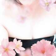 ヒメ日記 2025/07/23 12:12 投稿 しずか 完熟ばなな札幌・すすきの