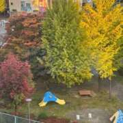 ヒメ日記 2025/10/23 14:39 投稿 しずか 完熟ばなな札幌・すすきの