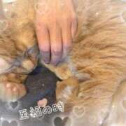 ヒメ日記 2025/11/02 18:39 投稿 しずか 完熟ばなな札幌・すすきの