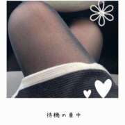 ヒメ日記 2025/11/22 17:09 投稿 しずか 完熟ばなな札幌・すすきの