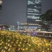 ミナミ 今週の出勤予定♪ 煌-kirameki-