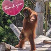 ヒメ日記 2025/10/04 21:41 投稿 シモン 信州無限GP 総合受付 諏訪店