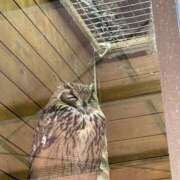 ヒメ日記 2026/05/18 12:22 投稿 桜井　まい 人妻の秘密