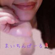 桜井　まい ありがちょ🫶 人妻の秘密