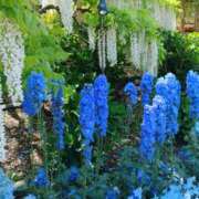 ヒメ日記 2025/06/02 18:00 投稿 ユウリ 煌-kirameki-