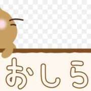 ヒメ日記 2025/09/03 18:09 投稿 ユウリ 煌-kirameki-