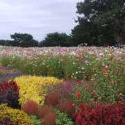 ヒメ日記 2025/10/27 20:59 投稿 ユウリ 煌-kirameki-