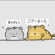 ヒメ日記 2026/04/25 19:31 投稿 ユウリ 煌-kirameki-