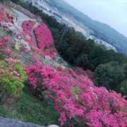 ヒメ日記 2026/05/11 22:48 投稿 ユウリ 煌-kirameki-