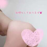 ヒメ日記 2026/02/16 15:16 投稿 サクラ 煌-kirameki-