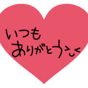 サクラ 🌸さくら🌸 煌-kirameki-