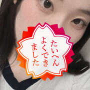 ヒメ日記 2025/06/04 20:20 投稿 さや ナンバーゼロハチイチ