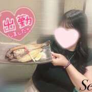 ヒメ日記 2025/06/23 18:04 投稿 せな 栃木小山ちゃんこ