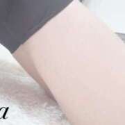 ヒメ日記 2025/08/19 18:20 投稿 せな 栃木小山ちゃんこ