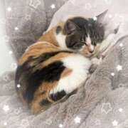 ヒメ日記 2025/09/13 17:22 投稿 せな 栃木小山ちゃんこ