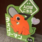 ヒメ日記 2025/10/09 08:20 投稿 せな 栃木小山ちゃんこ