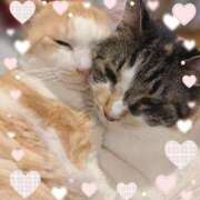 ヒメ日記 2025/10/16 08:40 投稿 せな 栃木小山ちゃんこ