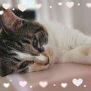 ヒメ日記 2025/10/25 08:20 投稿 せな 栃木小山ちゃんこ