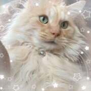 ヒメ日記 2025/11/05 23:58 投稿 せな 栃木小山ちゃんこ