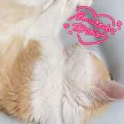 ヒメ日記 2025/11/15 15:10 投稿 せな 栃木小山ちゃんこ