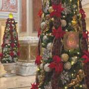 ヒメ日記 2025/11/28 21:11 投稿 せな 栃木小山ちゃんこ