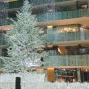 ヒメ日記 2025/12/22 15:00 投稿 せな 栃木小山ちゃんこ