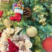 ヒメ日記 2025/12/25 21:10 投稿 せな 栃木小山ちゃんこ