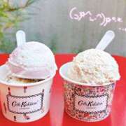 ヒメ日記 2026/01/09 08:10 投稿 せな 栃木小山ちゃんこ