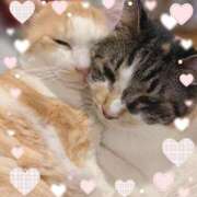 ヒメ日記 2026/03/11 20:17 投稿 せな 栃木小山ちゃんこ