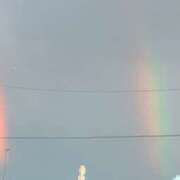 ヒメ日記 2026/04/02 19:26 投稿 せな 栃木小山ちゃんこ