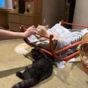 そら ごめんね😢 ウルトラドリーム