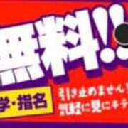 ヒメ日記 2025/07/30 12:21 投稿 ちえ Ace(エース)