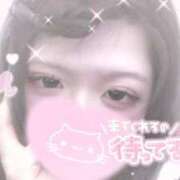 ヒメ日記 2026/03/11 21:37 投稿 りえ ぷよラブ れぼりゅ～しょん