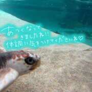 ヒメ日記 2025/06/18 18:34 投稿 玲那(れいな) チューリップ宇都宮店