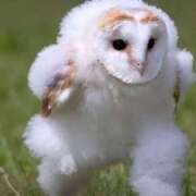 ヒメ日記 2025/06/30 22:29 投稿 玲那(れいな) チューリップ宇都宮店